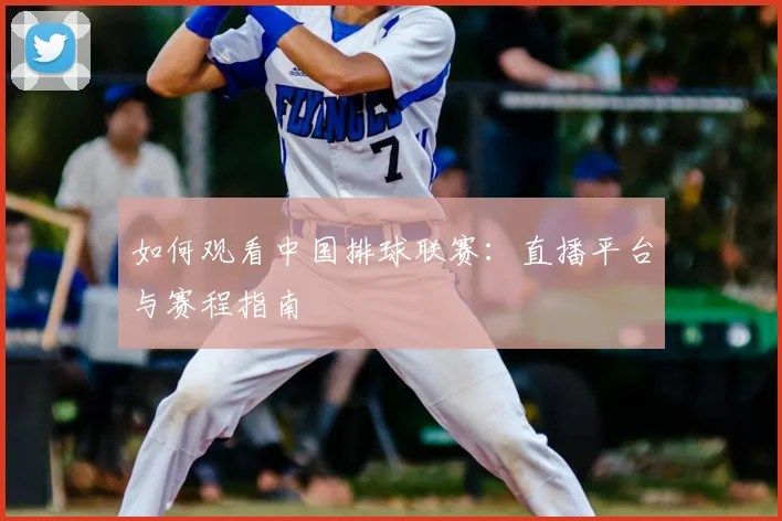 如何观看中国排球联赛:直播平台与赛程指南