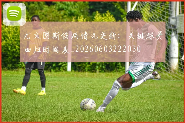 尤文图斯伤病情况更新:关键球员回归时间表_20260603222030