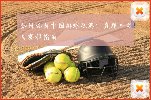 如何观看中国排球联赛:直播平台与赛程指南