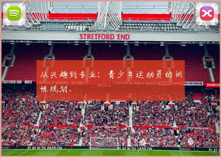 从兴趣到专业：青少年运动员的训练规划。