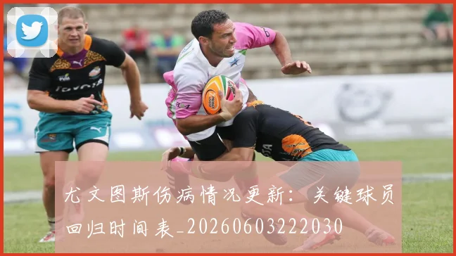 尤文图斯伤病情况更新:关键球员回归时间表_20260603222030