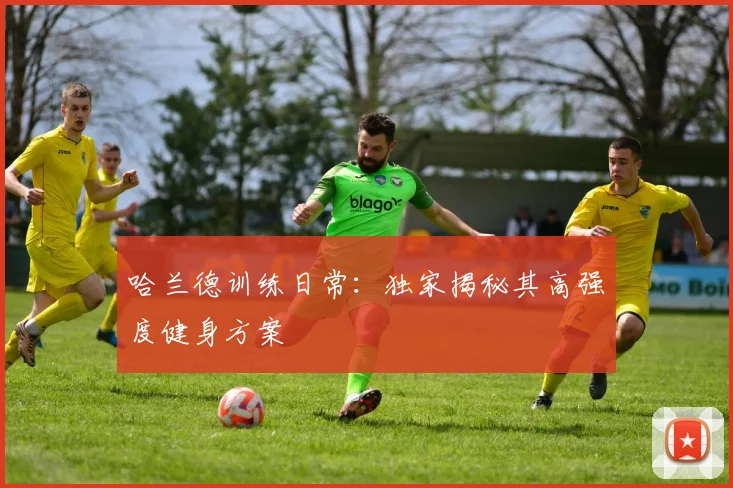 哈兰德训练日常：独家揭秘其高强度健身方案
